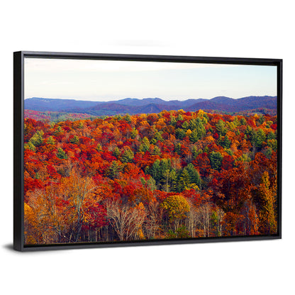 Autumn in the Appalachian Forest Wall Art