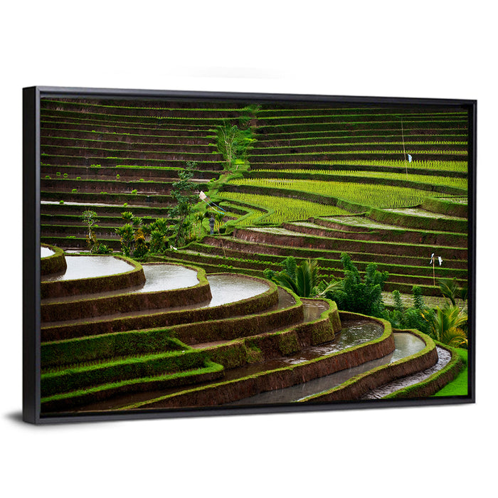 Lush Rice Terraces Wall Art as a framed canvas