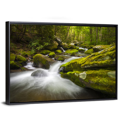 Gatlinburg Park Stream Wall Art