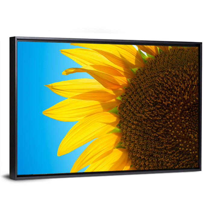 Sunflower Close-up Wall Art as a framed canvas