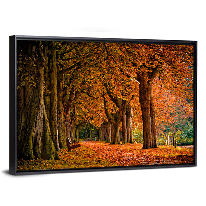 Autumn Forest Pathway Wall Art as a framed canvas