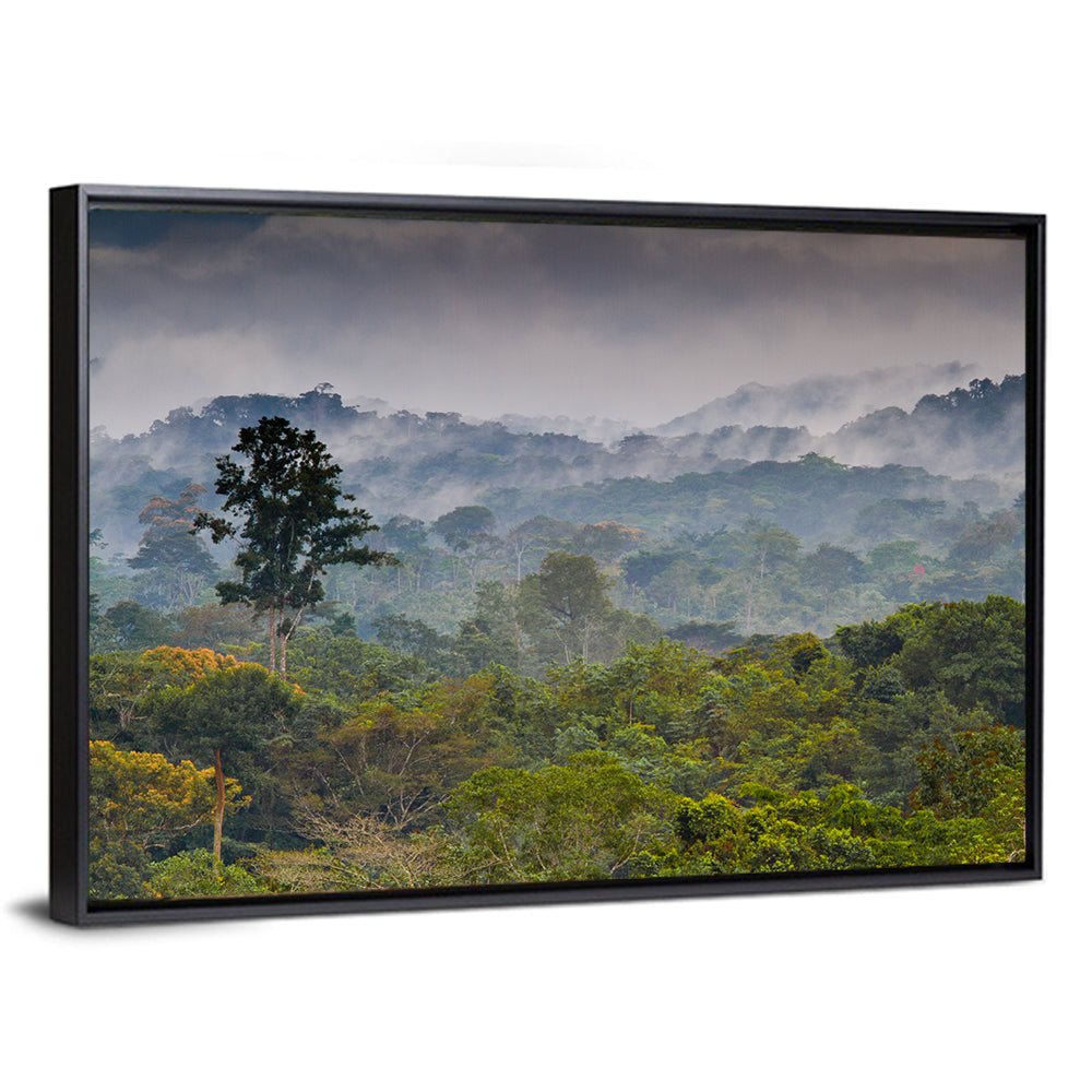 Guinea Rainforest Landscape Wall Art