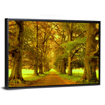 Beech Tree Lane at Golden Hour Wall Art