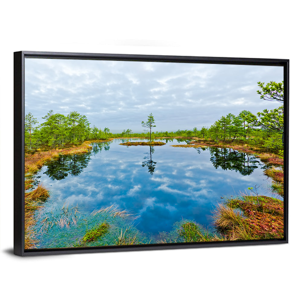 Viru Bog Reflections Wall Art
