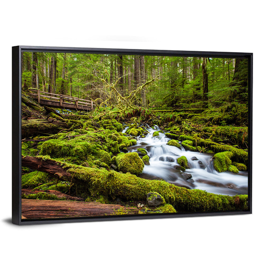 Mossy Cascade Forest Stream Wall Art