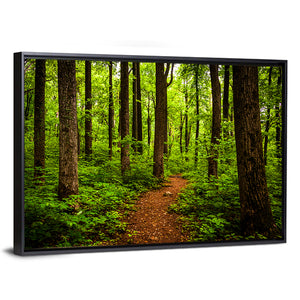 Shenandoah National Park Trail Wall Art