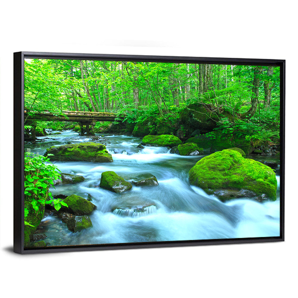 Mossy Forest Stream Wall Art