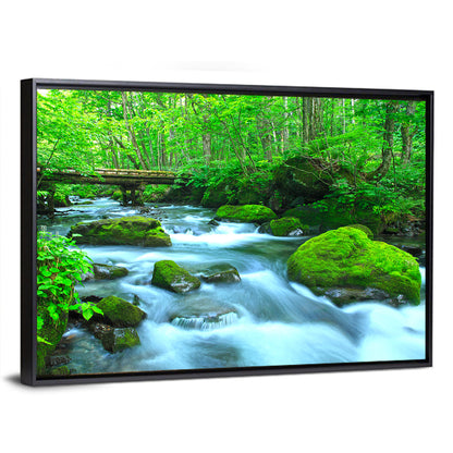 Mossy Forest Stream Wall Art