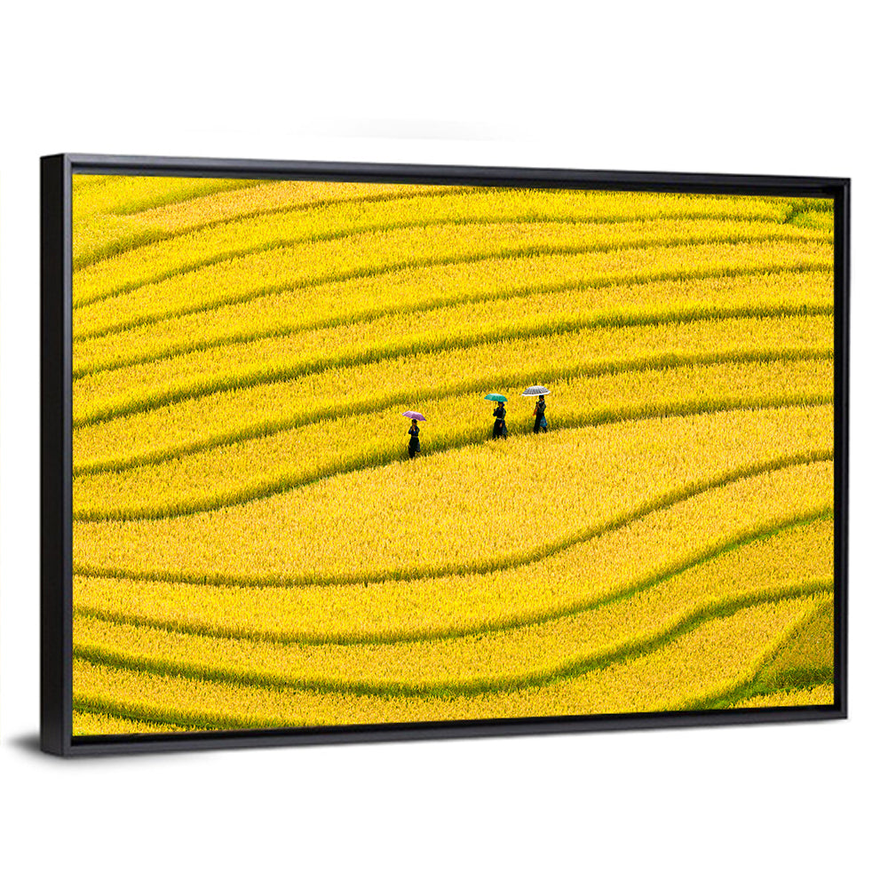 Golden Rice Terraces with Umbrellas Wall Art