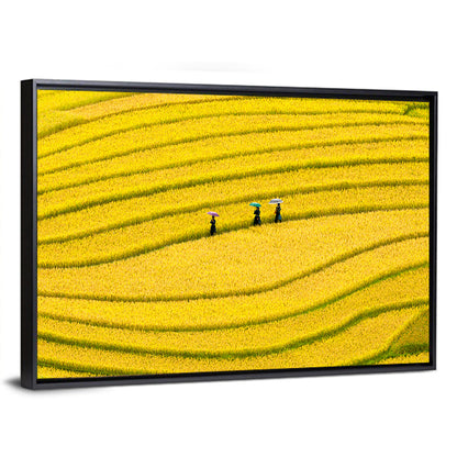 Golden Rice Terraces with Umbrellas Wall Art
