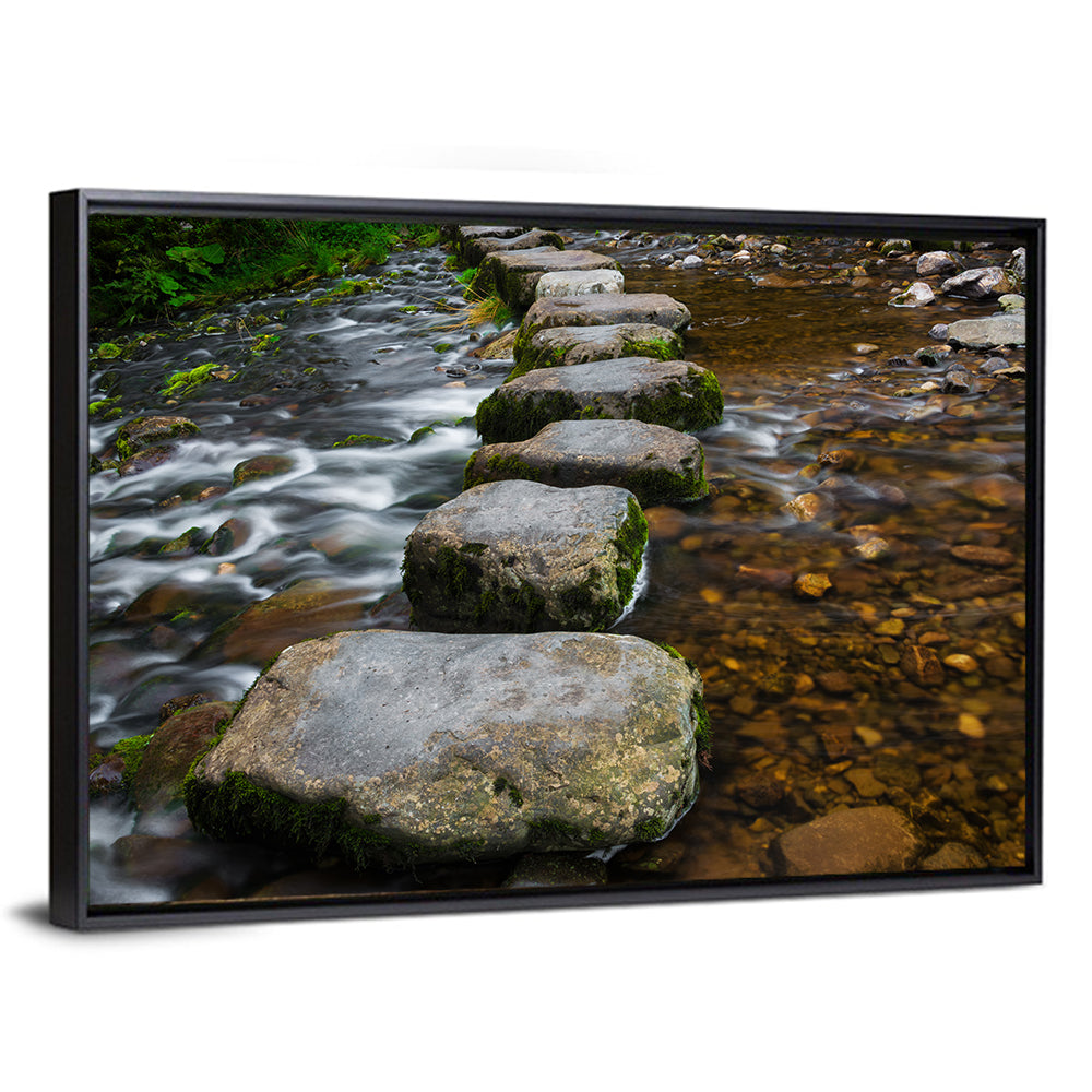 Mossy Stepping Stones Over Stream Wall Art