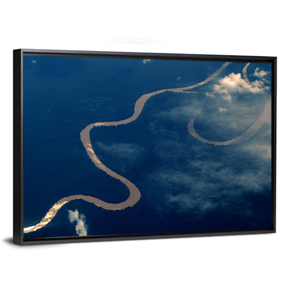 Sunlit Meander of the Amazon River Wall Art