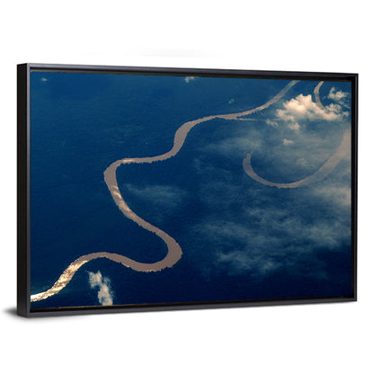 Sunlit Meander of the Amazon River Wall Art