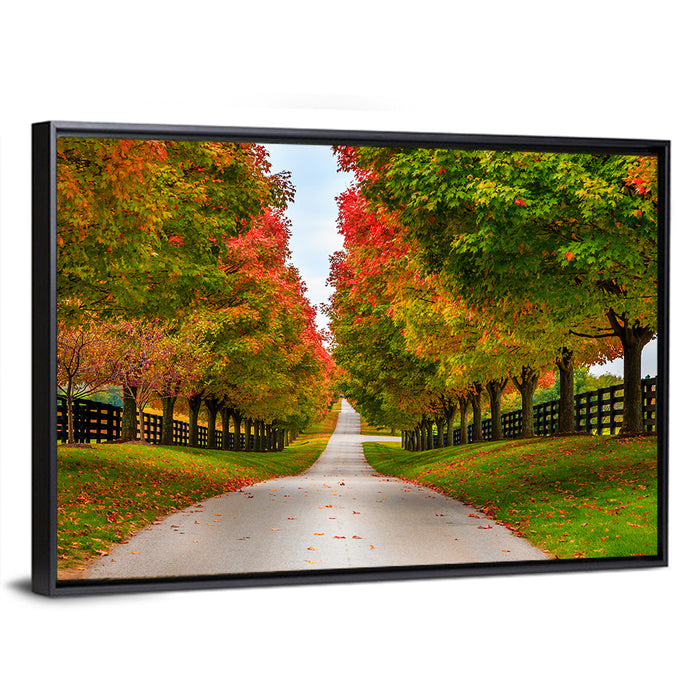 Tree-lined Farm Lane, Kentucky Wall Art as a framed canvas