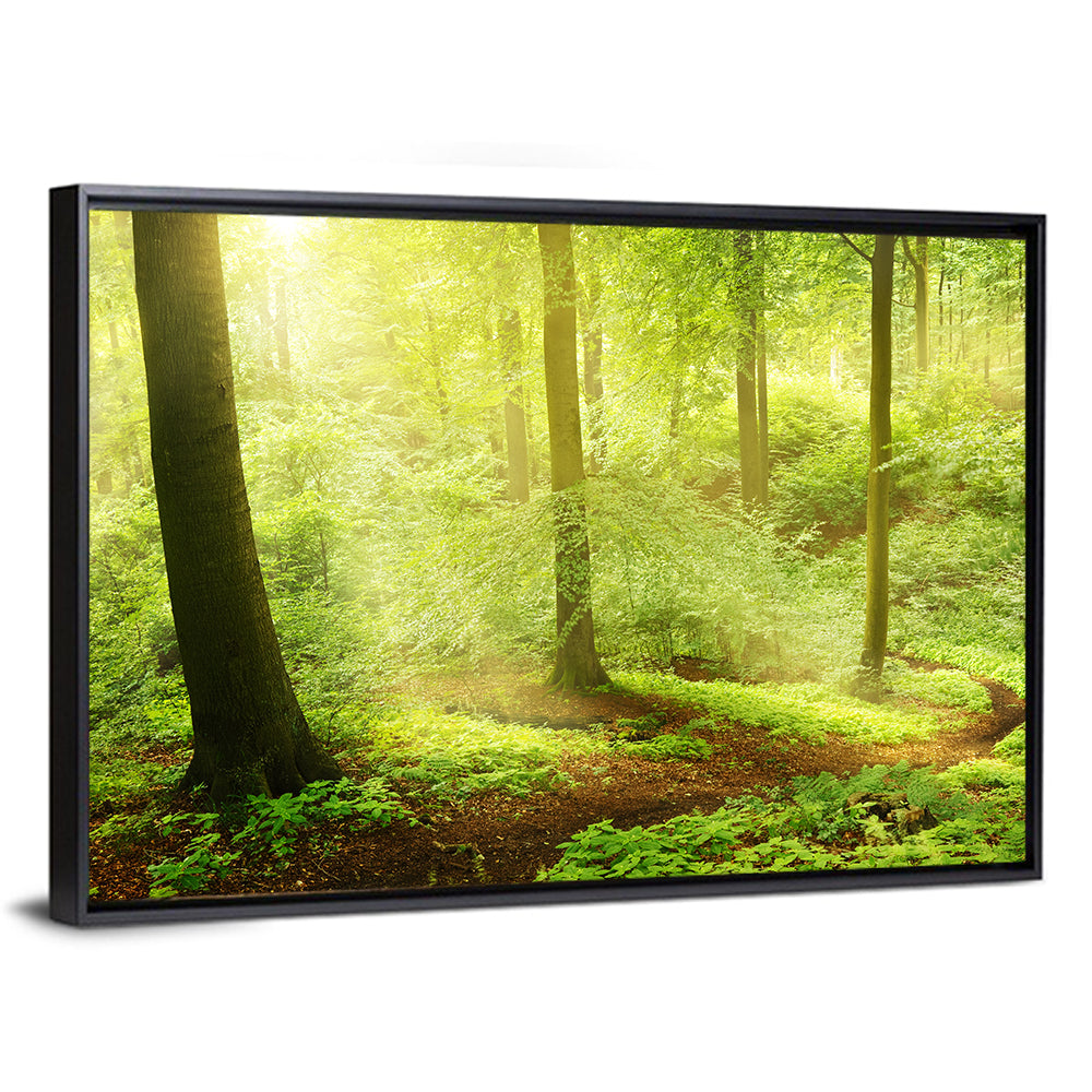 Sunlit Forest Path Wall Art