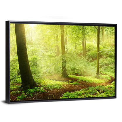 Sunlit Forest Path Wall Art