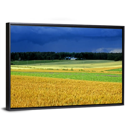 Cornfields Under Stormy Sky Wall Art