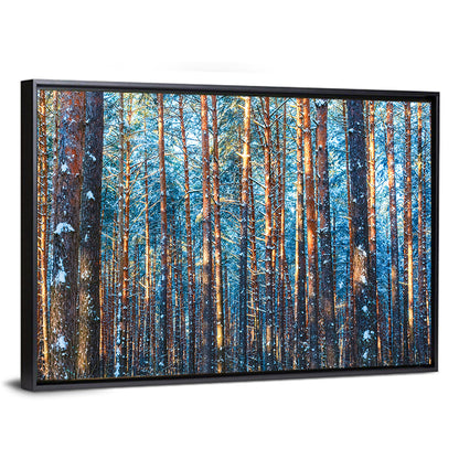 Winter Forest Trees Wall Art