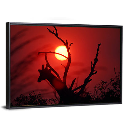Giraffe Silhouette at Sunset Wall Art