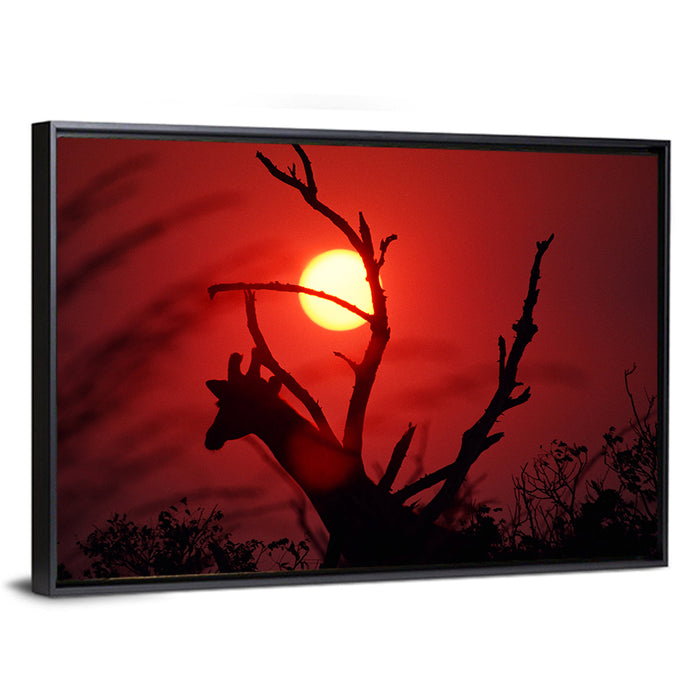 Giraffe Silhouette at Sunset Wall Art as a framed canvas