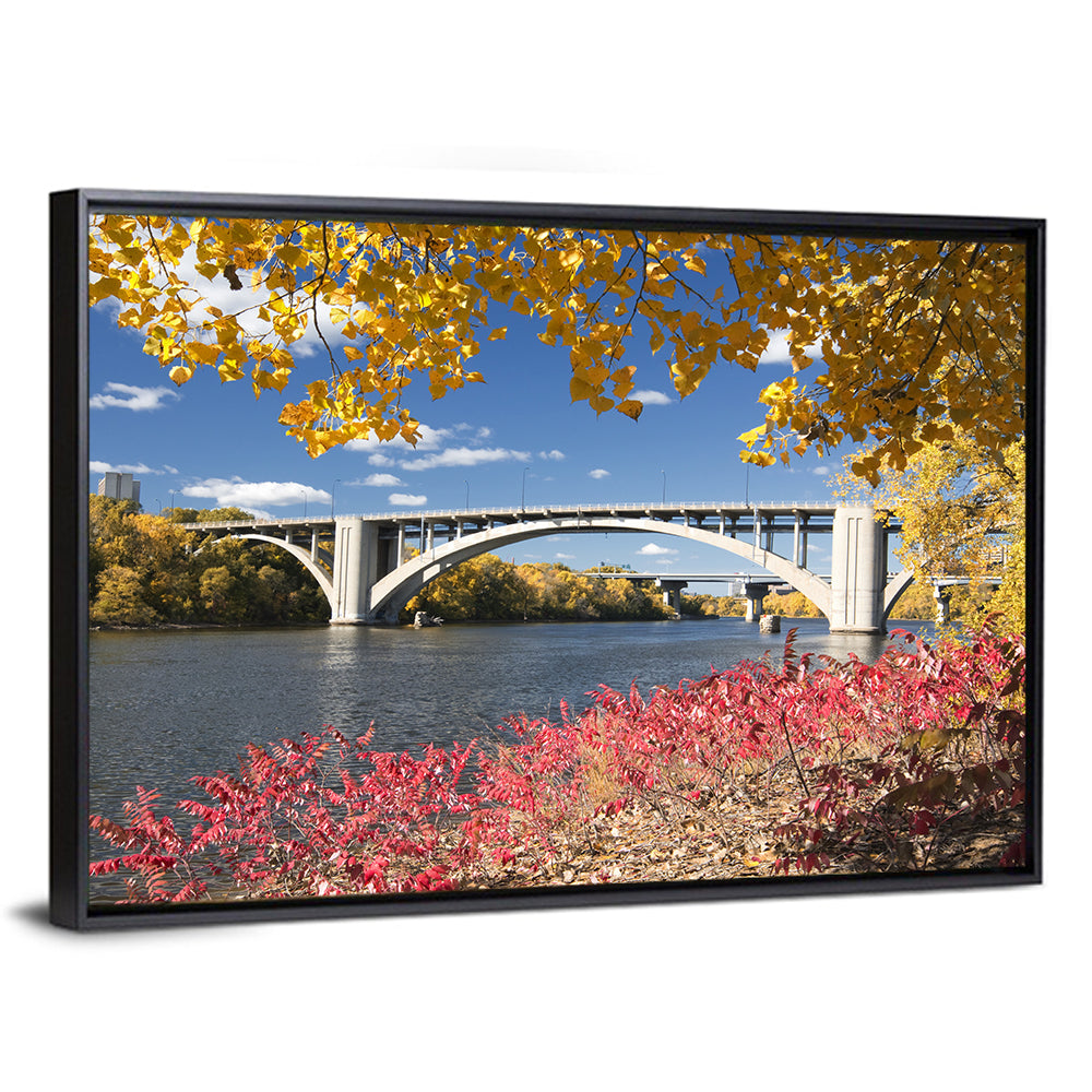 Ford Parkway Bridge Mississippi River Wall Art