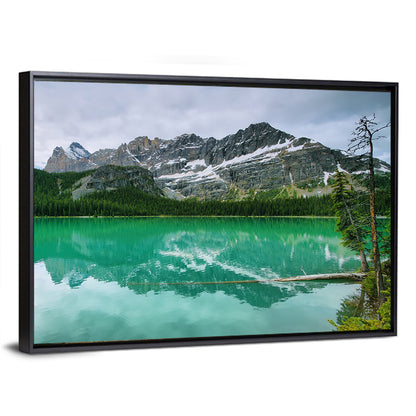 Lake O'hara Reflection Wall Art