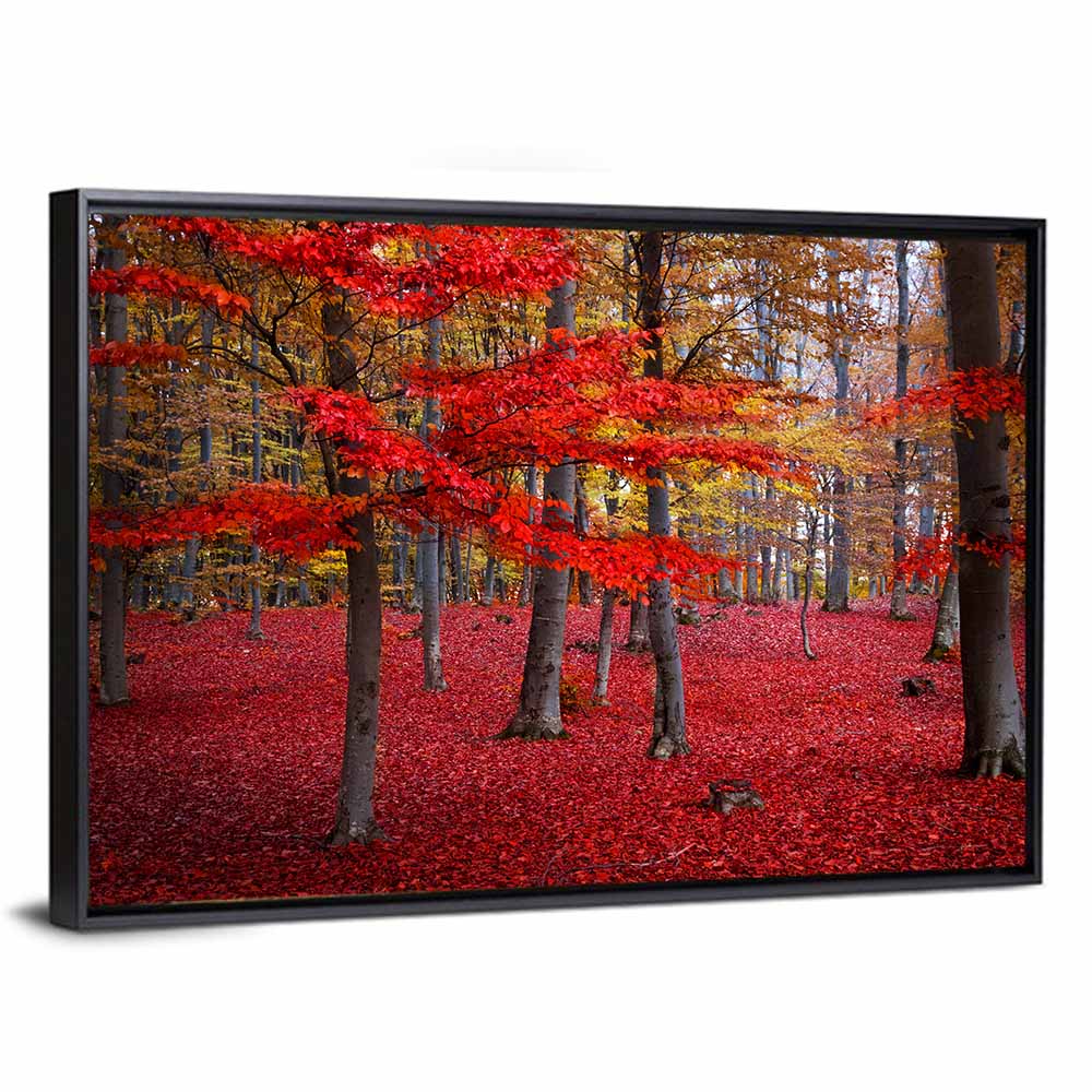 Crimson Autumn Forest Wall Art