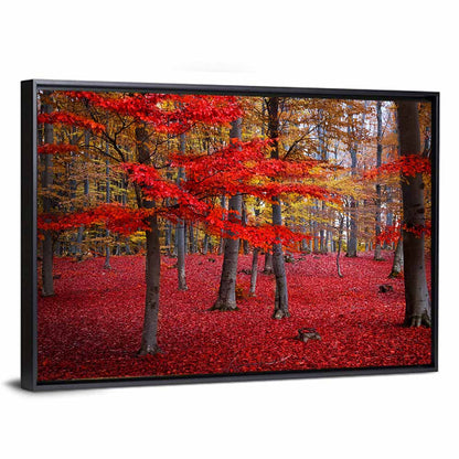 Crimson Autumn Forest Wall Art