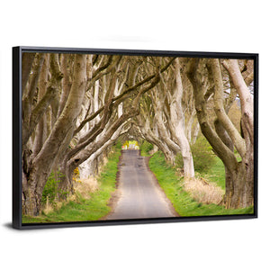 The Dark Hedges Wall Art