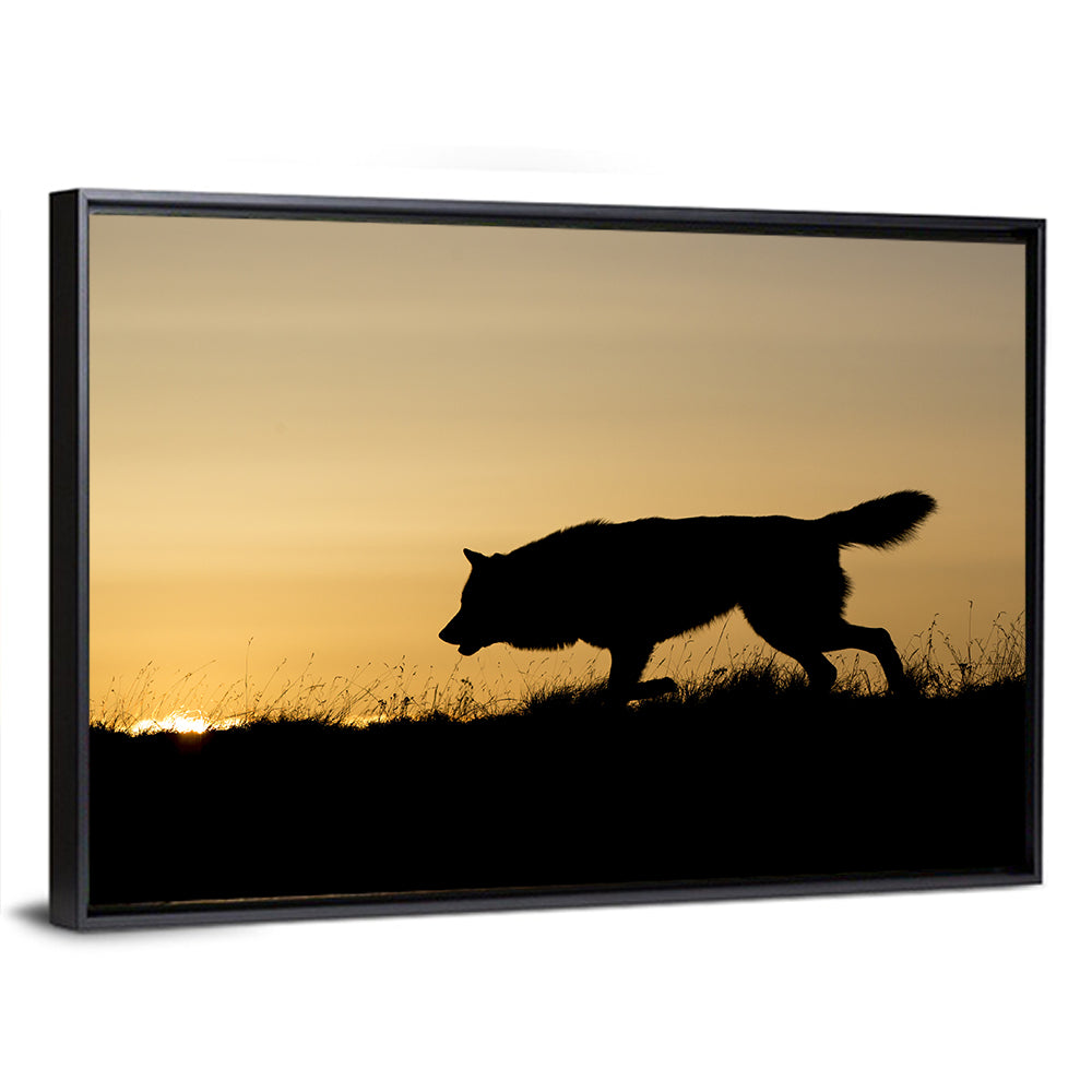 Wolf at Golden Horizon Wall Art