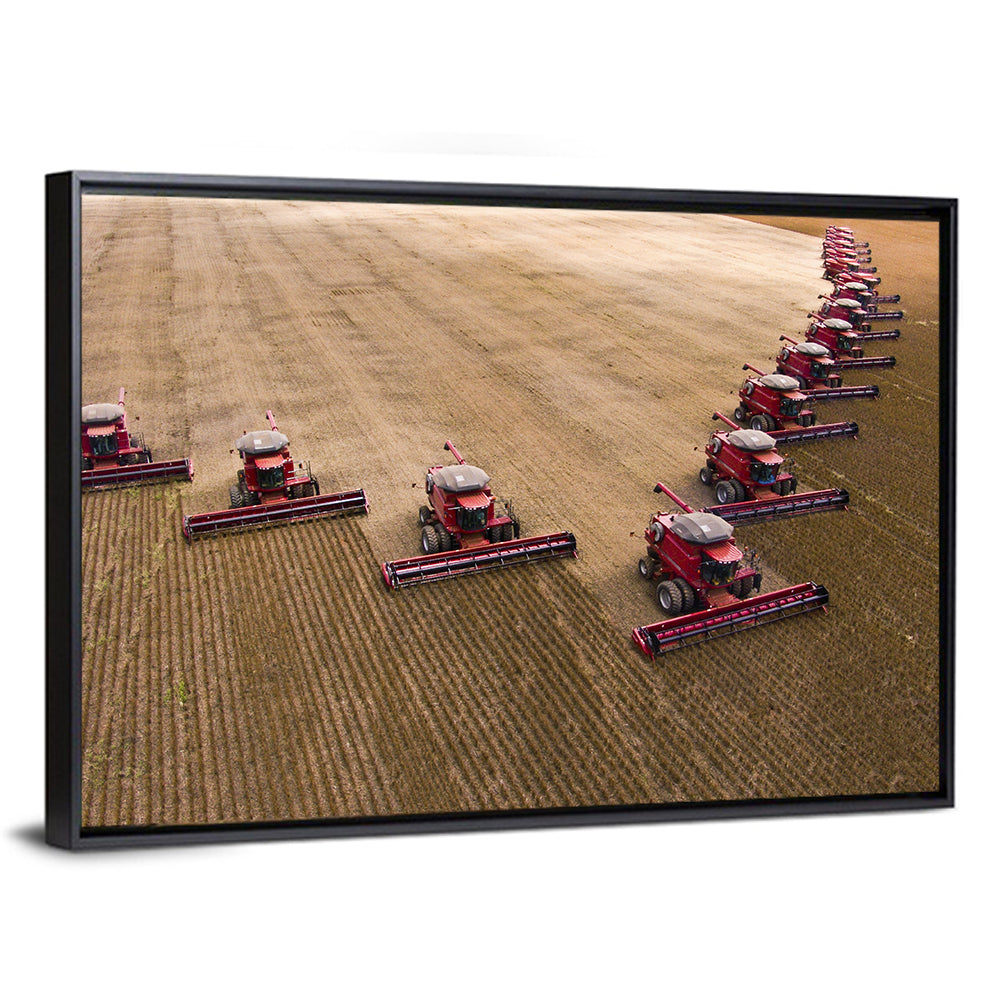Aerial Soybean Harvest Wall Art