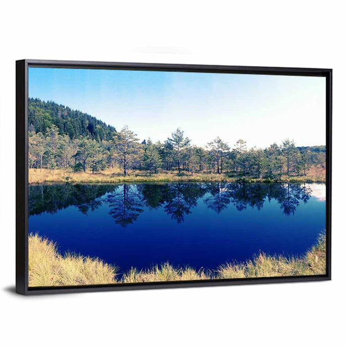 Tundra Reservation Park Lake Wall Art as a framed canvas