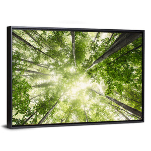 Misty Spring Forest Wall Art