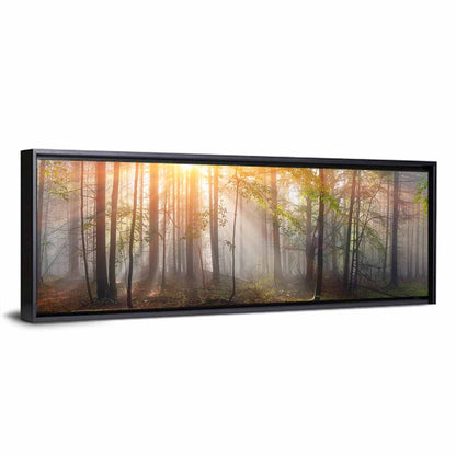 Carpathian Morning Forest Wall Art