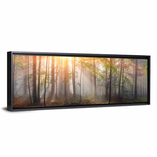 Carpathian Morning Forest Wall Art