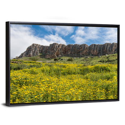 Mount Arbel Wildflower Meadow Wall Art