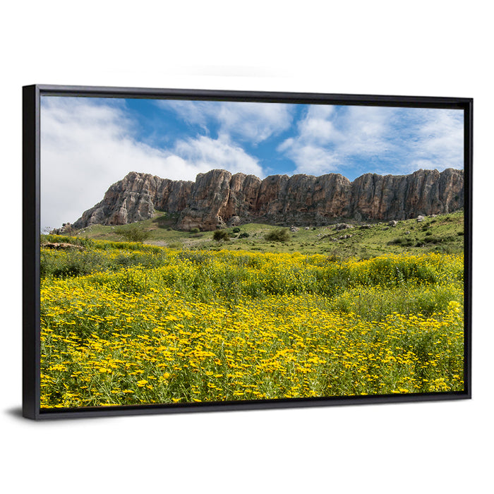 Mount Arbel Wildflower Meadow Wall Art as a framed canvas
