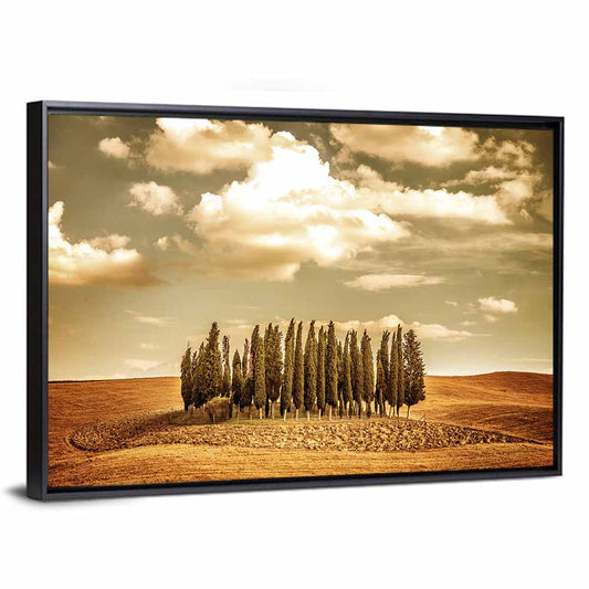 Tuscany Cypress Field Wall Art