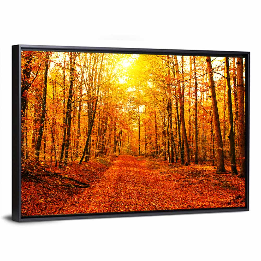 Golden Autumn Forest Path Wall Art