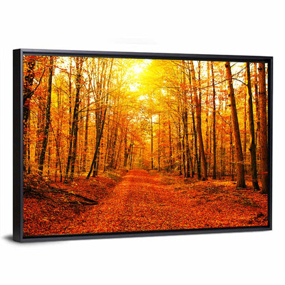 Golden Autumn Forest Path Wall Art
