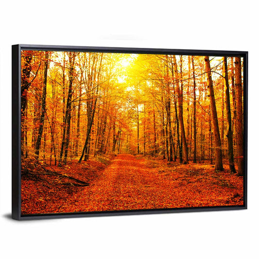 Golden Autumn Forest Path Wall Art