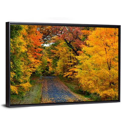 Wisconsin Autumn Park Wall Art