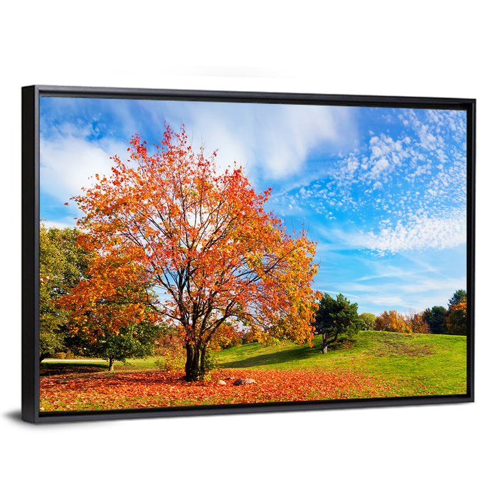Orange Maple on Rolling Hill Wall Art as a framed canvas