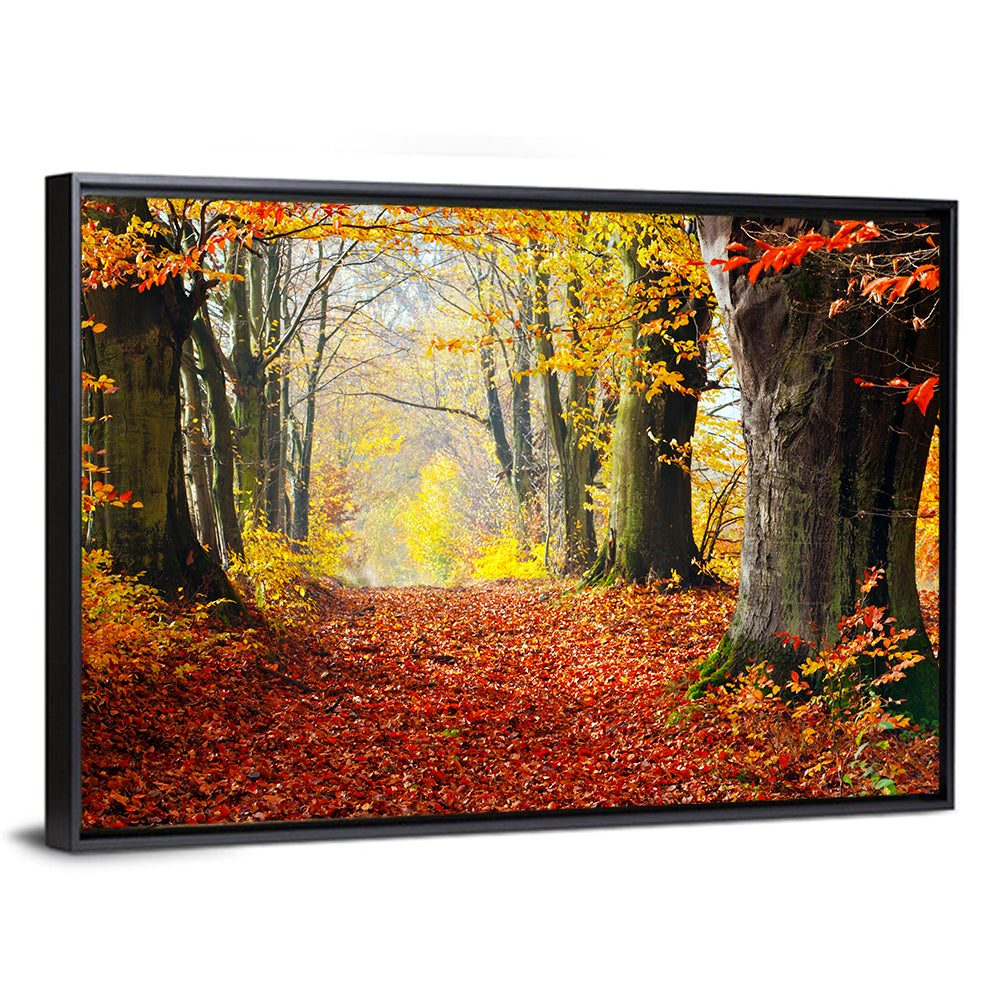 Misty Autumn Forest Path Wall Art
