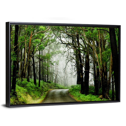 Misty Eucalyptus Road Wall Art