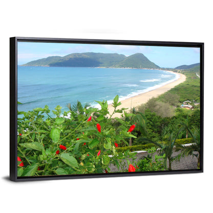 Armacao Florianopolis Wall Art