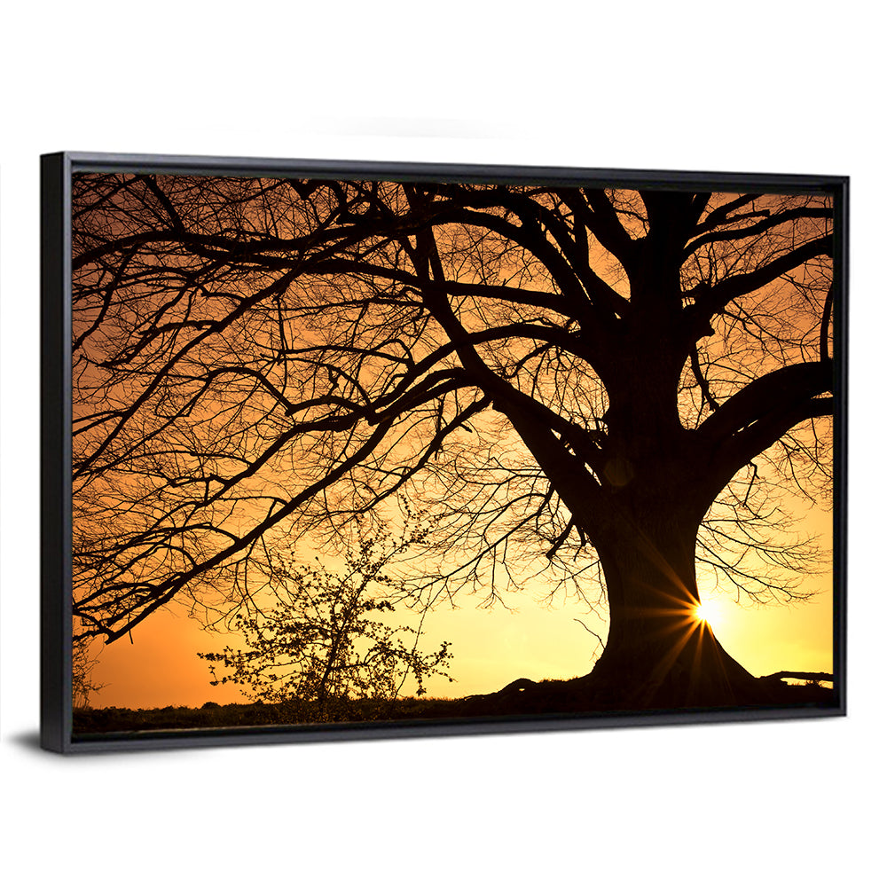 Willow Tree Sunset Wall Art