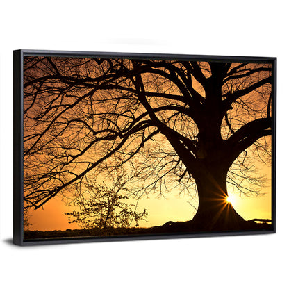 Willow Tree Sunset Wall Art