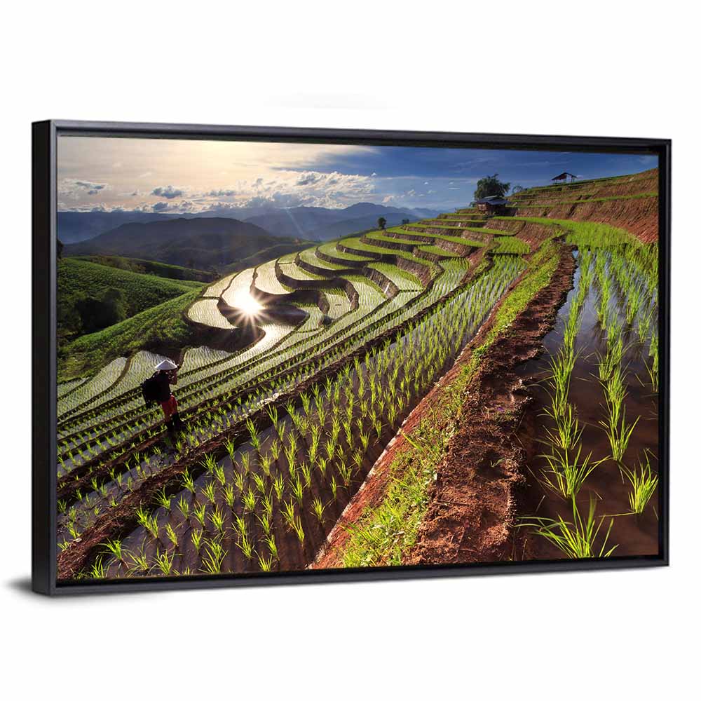Chiang Mai Rice Terraces at Sunset Wall Art