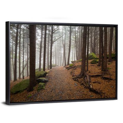 Misty Appalachian Trail Path Wall Art